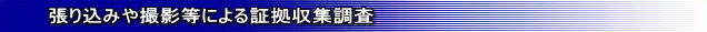 張り込みや撮影などによる証拠収集は名古屋のフリースタイルへ