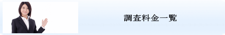 調査料金一覧