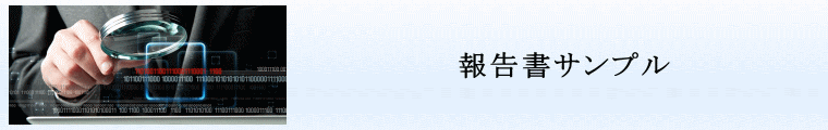 報告書サンプル